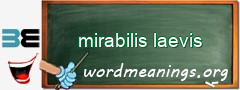WordMeaning blackboard for mirabilis laevis